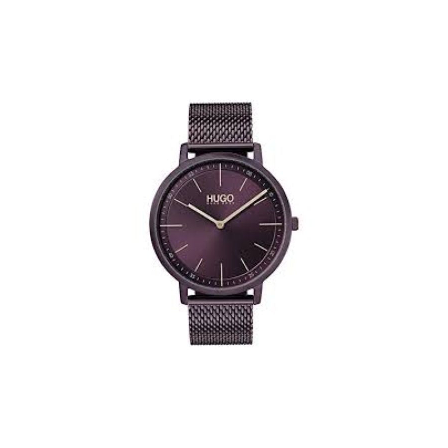 HUGO BOSS HB1540011