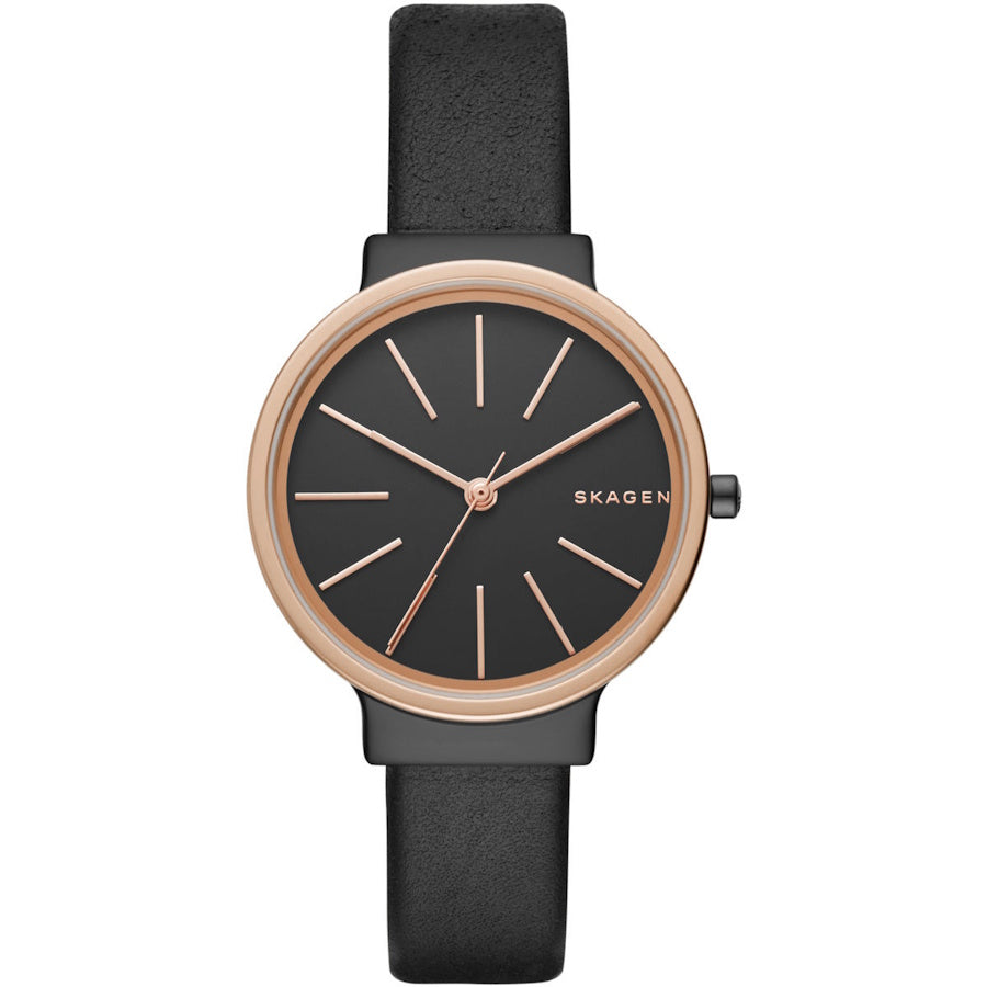 SKAGEN SKW2480